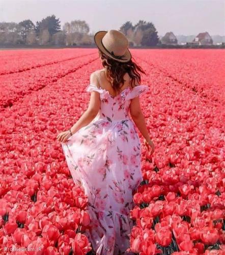 کوثر&nbsp;فرهادی